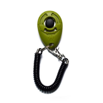 Adjustable Training Sound Key Chain For Pet-Ziggy Dog Training Collar