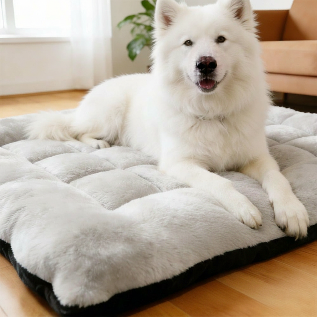 Comfortable Plush Pet Bed With Anti Slip Base For Everyday Use