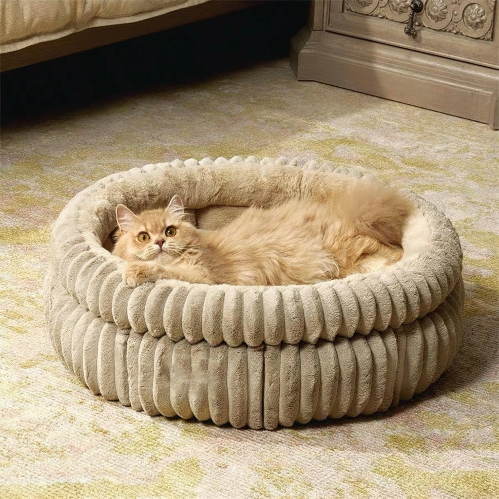 Round Plush Cat And Small Dog Be