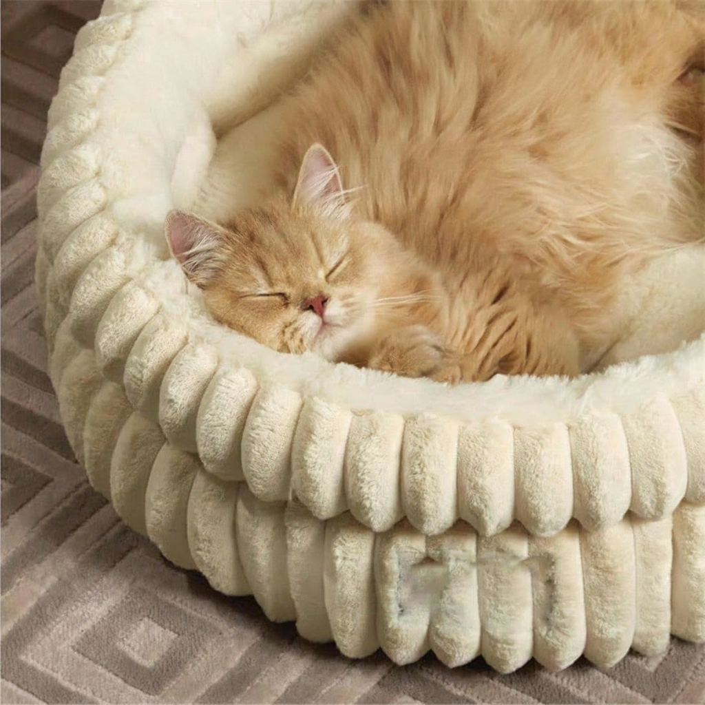 Round Plush Cat And Small Dog Be