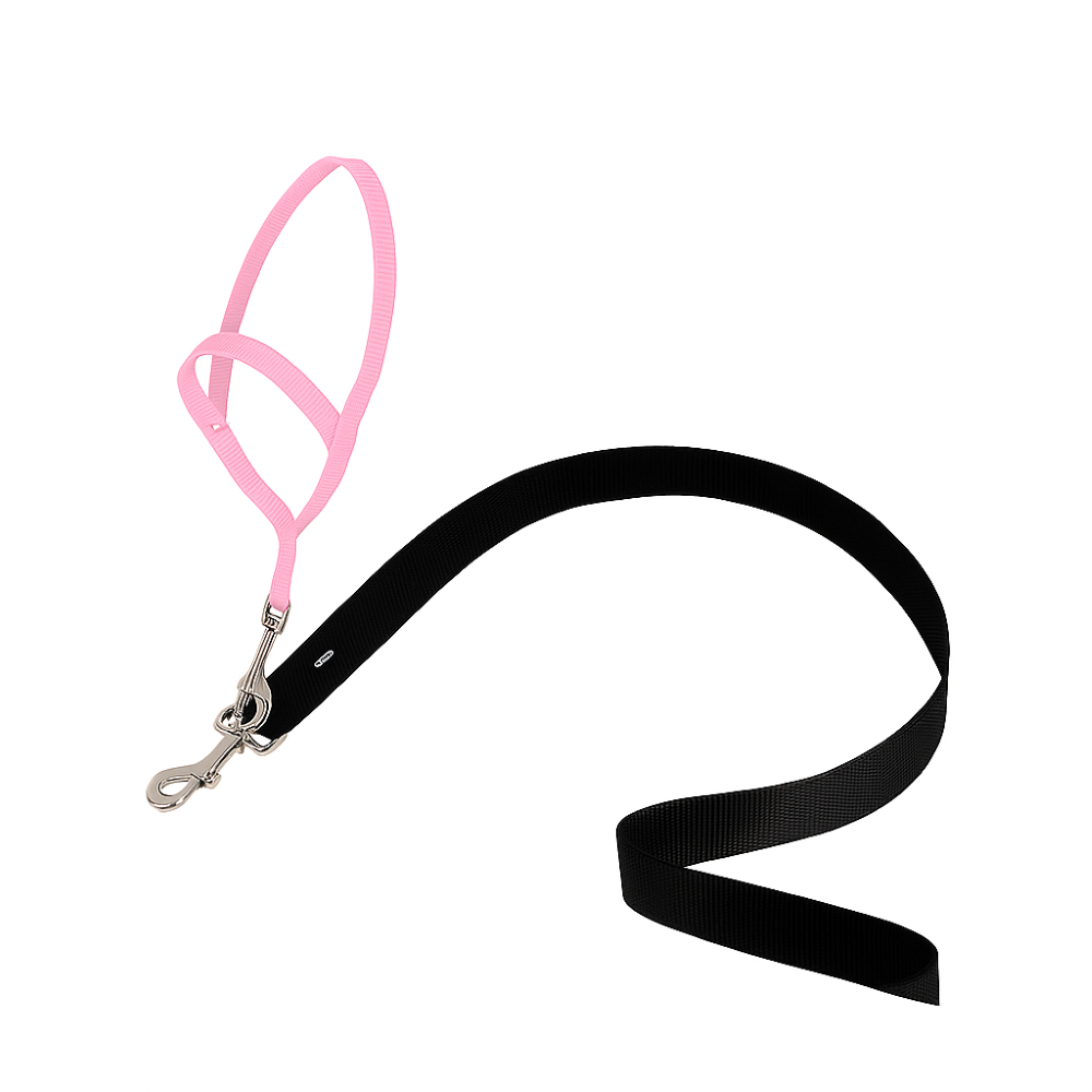 Adjustable No Pull Dog collar-Ziggy Dog Training Collar