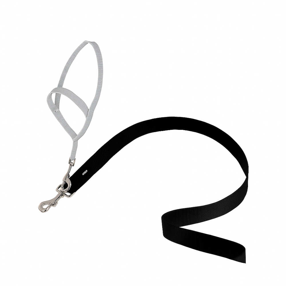 Adjustable No Pull Dog collar-Ziggy Dog Training Collar