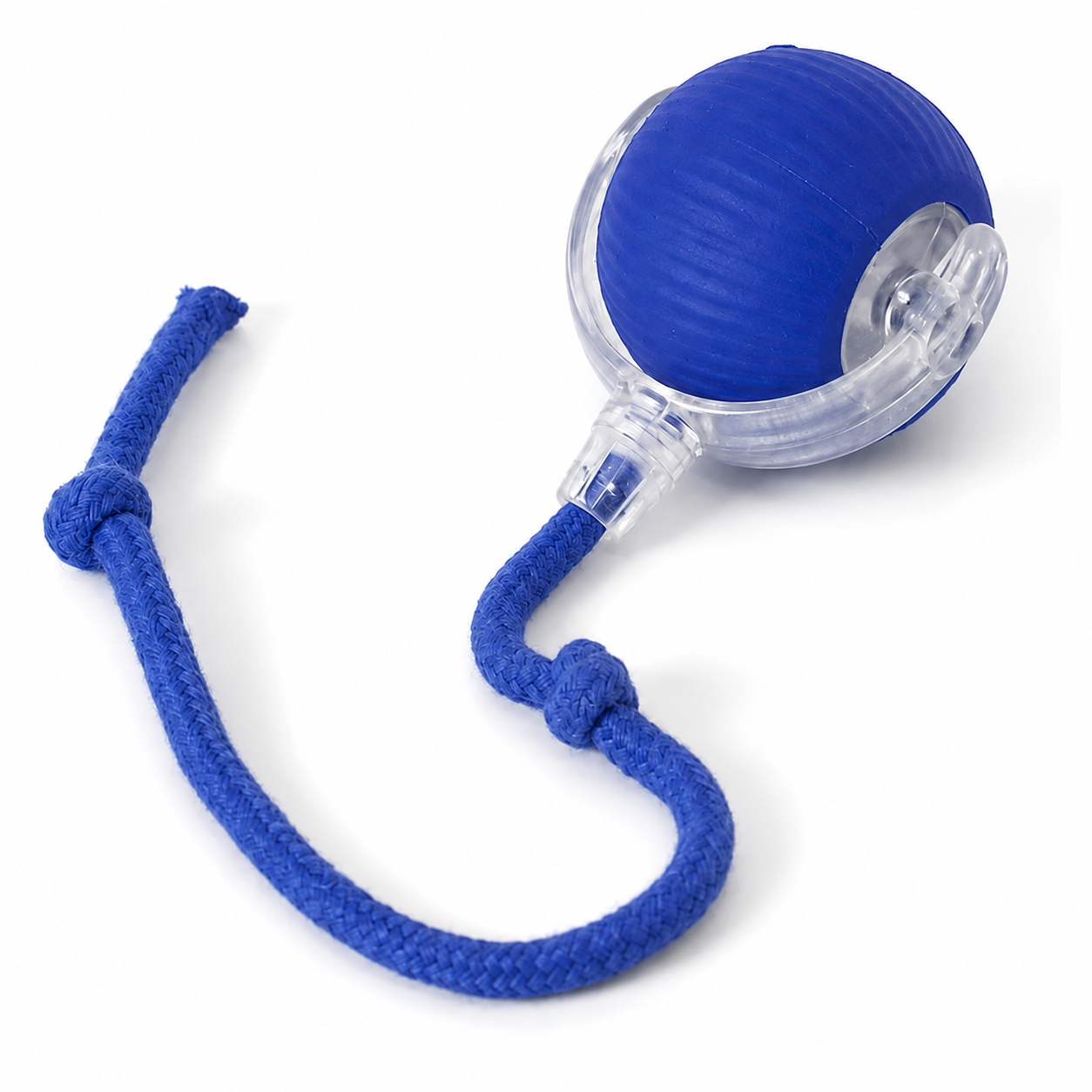 Indoor Cat Agility Toys For Exercise And Fun