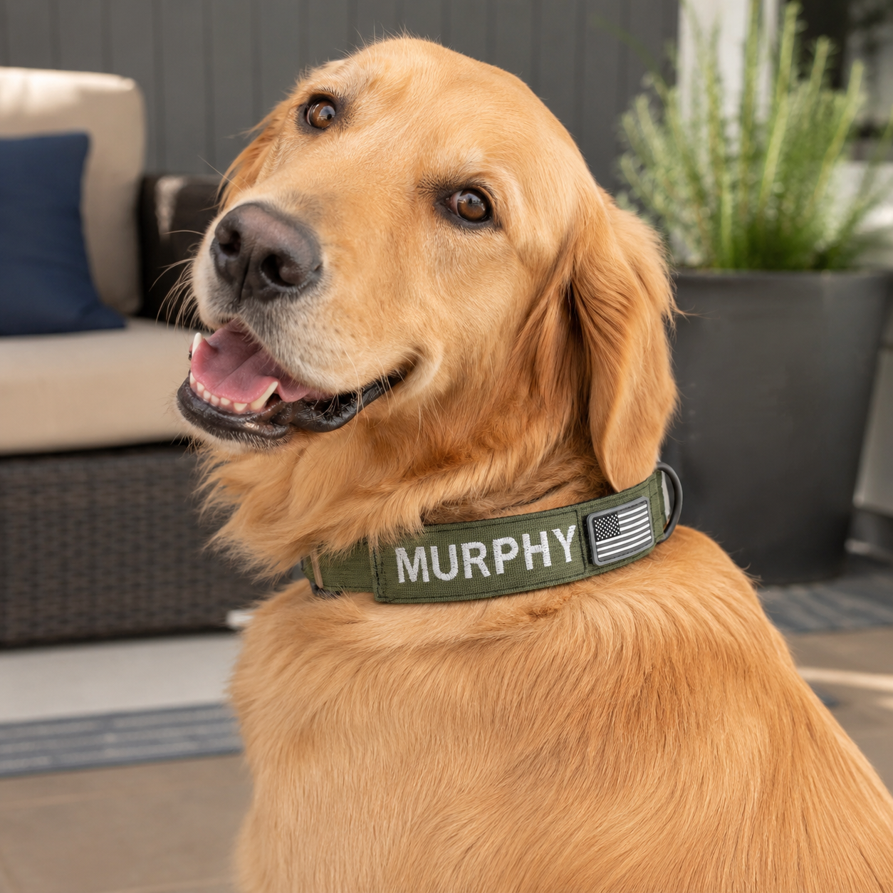 Adjustable Tactical Dog Collar With Custom Name Patch