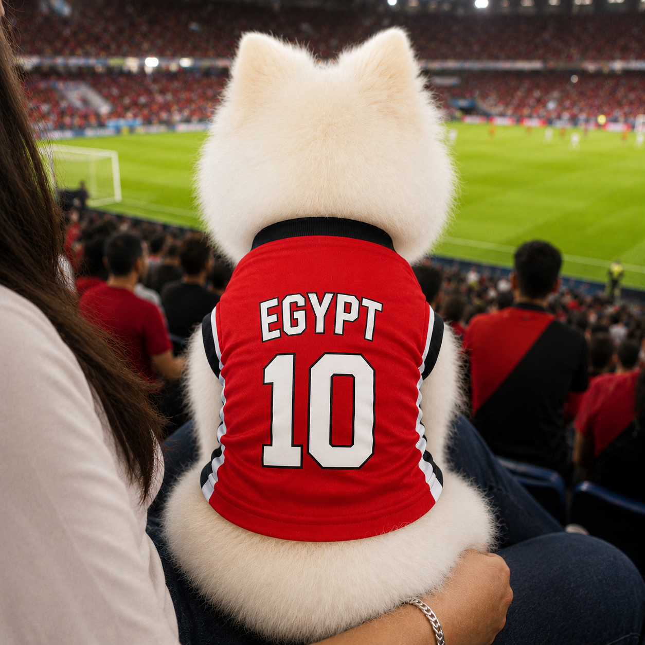 World Cup 2026 Egypt Soccer Pet Jersey