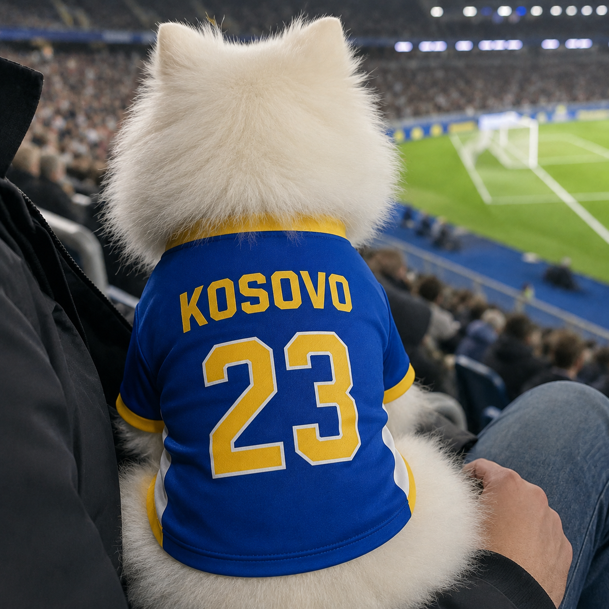 World Cup 2026 Kosovo Soccer Pet Jersey