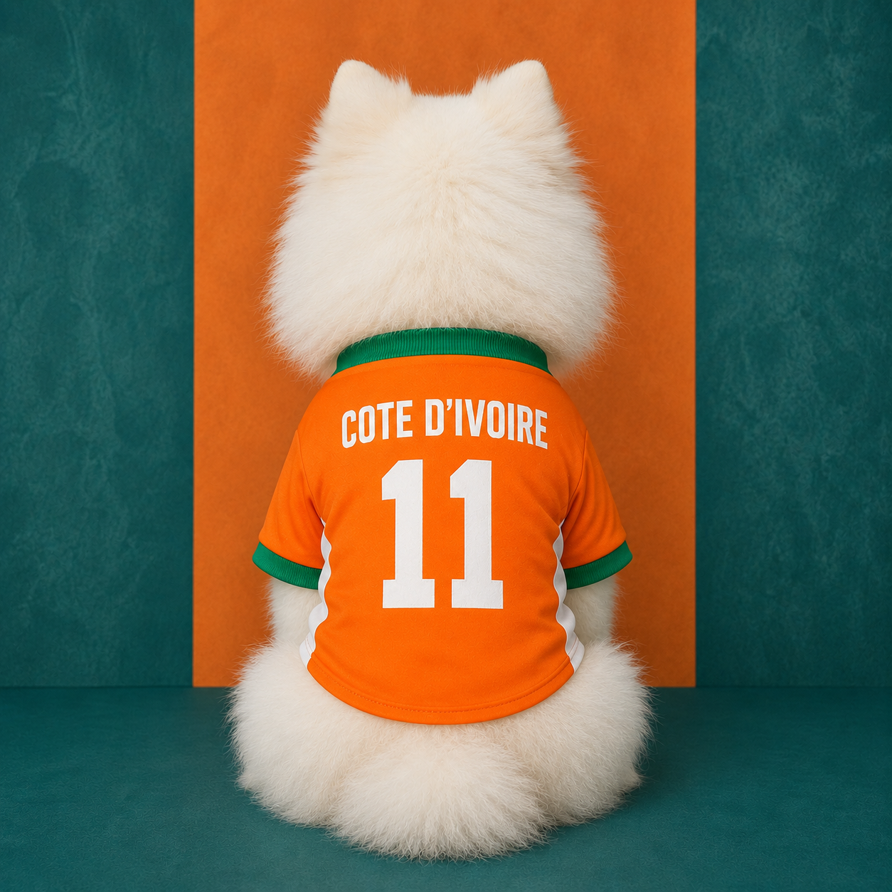 World Cup 2026 Côte d'Ivoire Soccer Pet Jersey