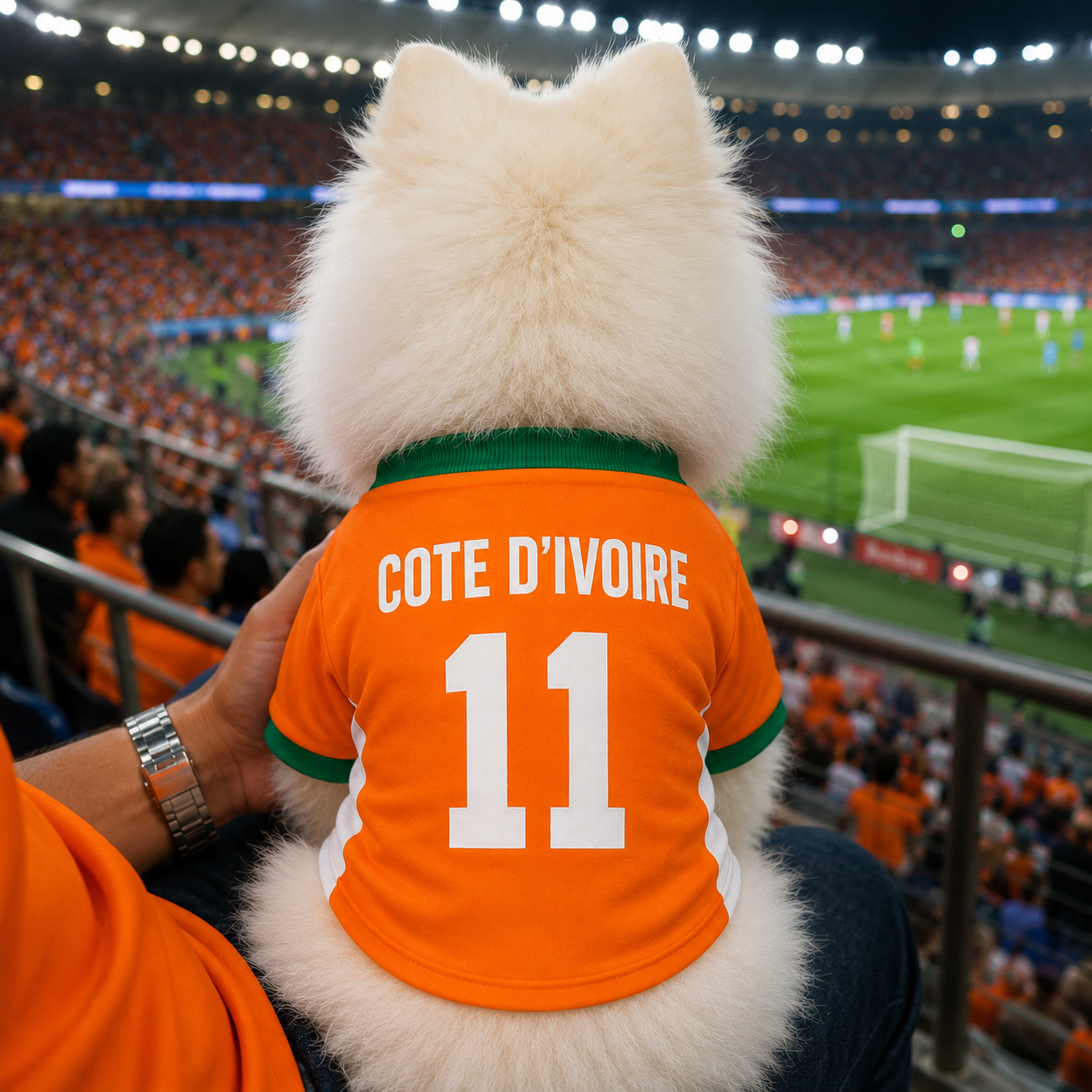 World Cup 2026 Côte d'Ivoire Soccer Pet Jersey