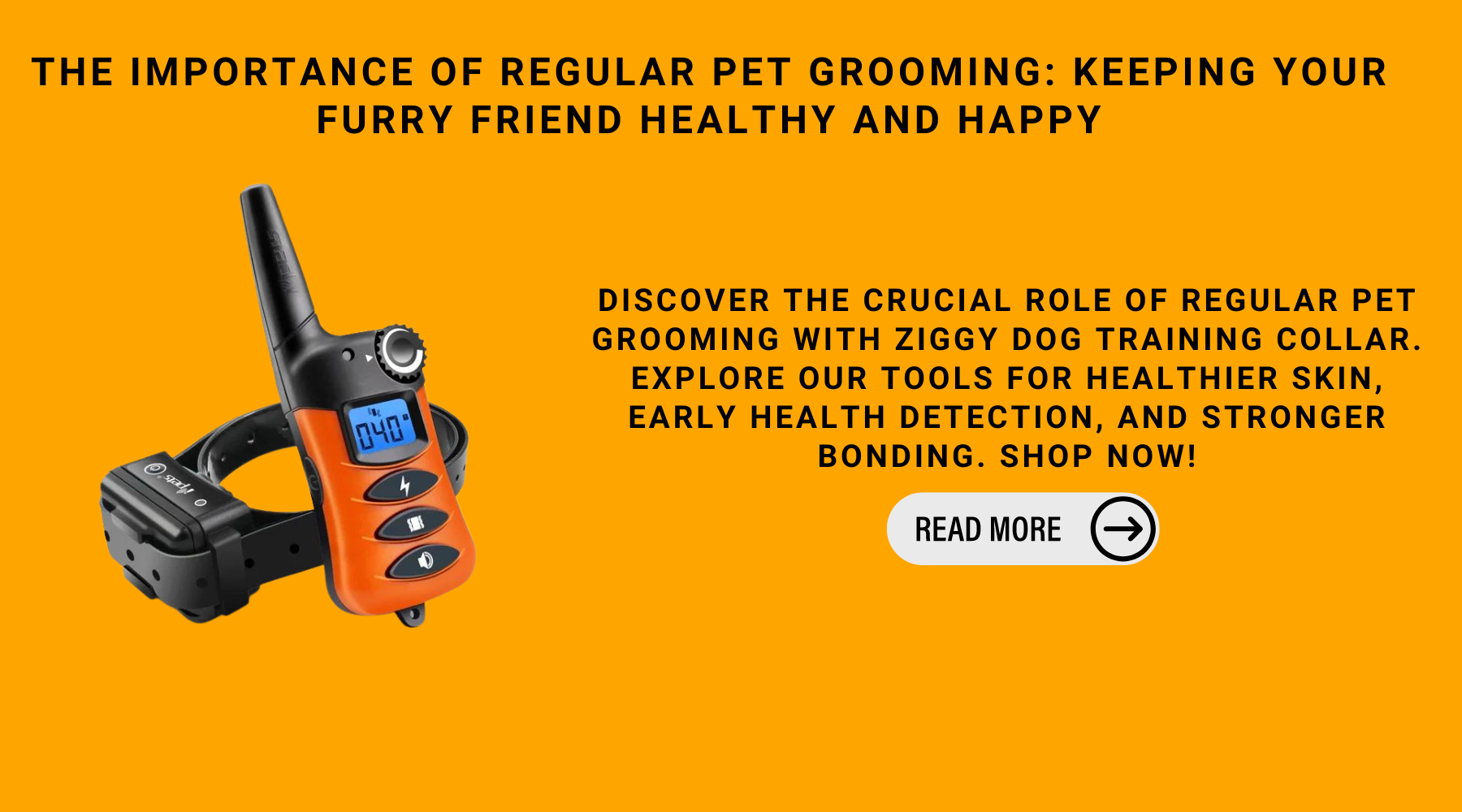 The Importance Of Regular Pet Grooming: Keeping Your Furry Friend Healthy And Happy-Ziggy Dog Training Collar