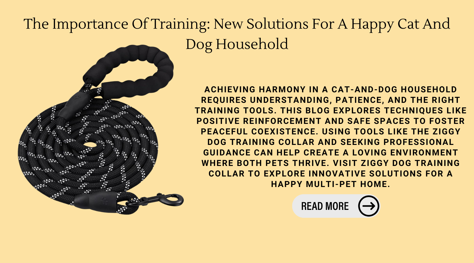 The Importance Of Training: New Solutions For A Happy Cat And Dog Household-Ziggy Dog Training Collar