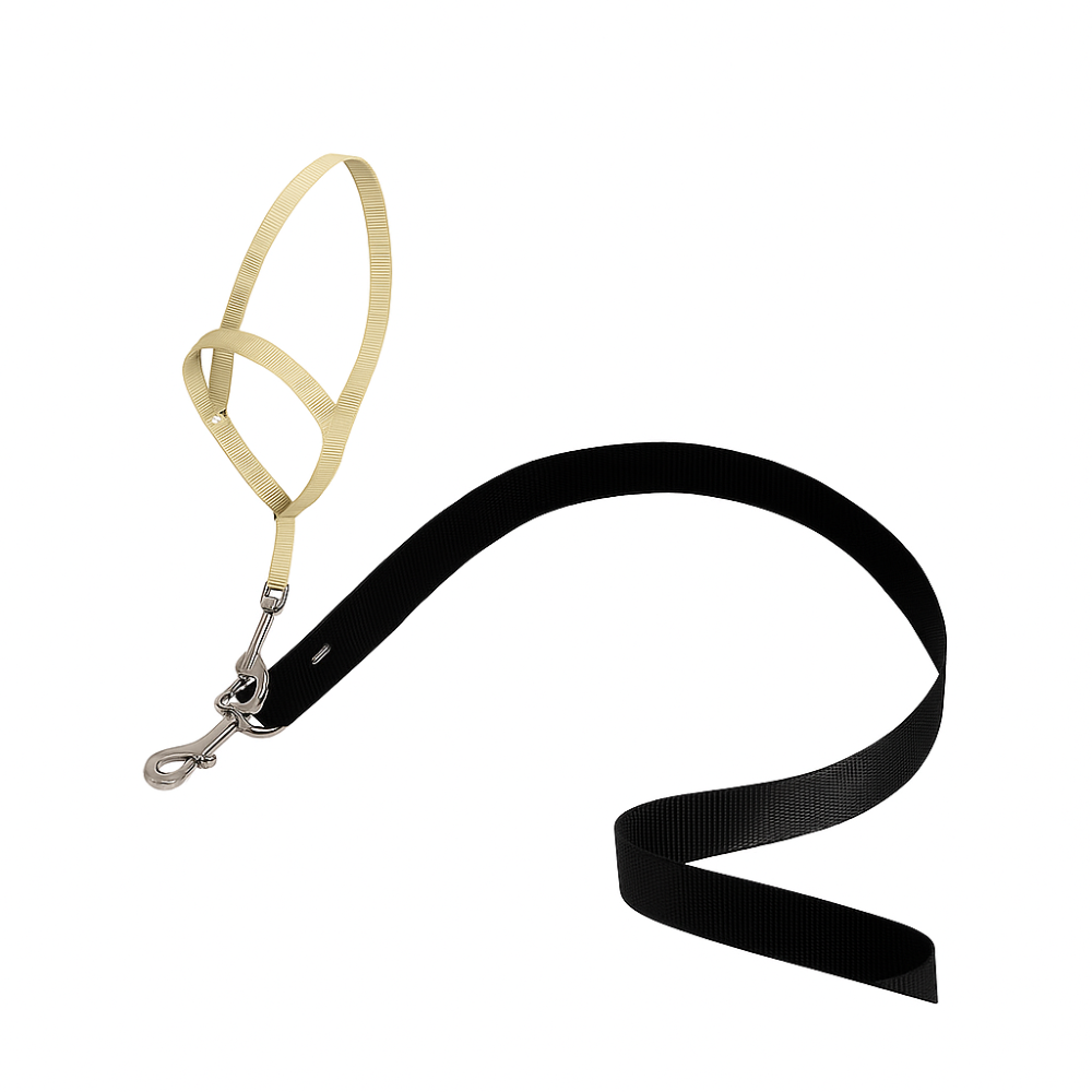 Adjustable No Pull Dog collar-Ziggy Dog Training Collar