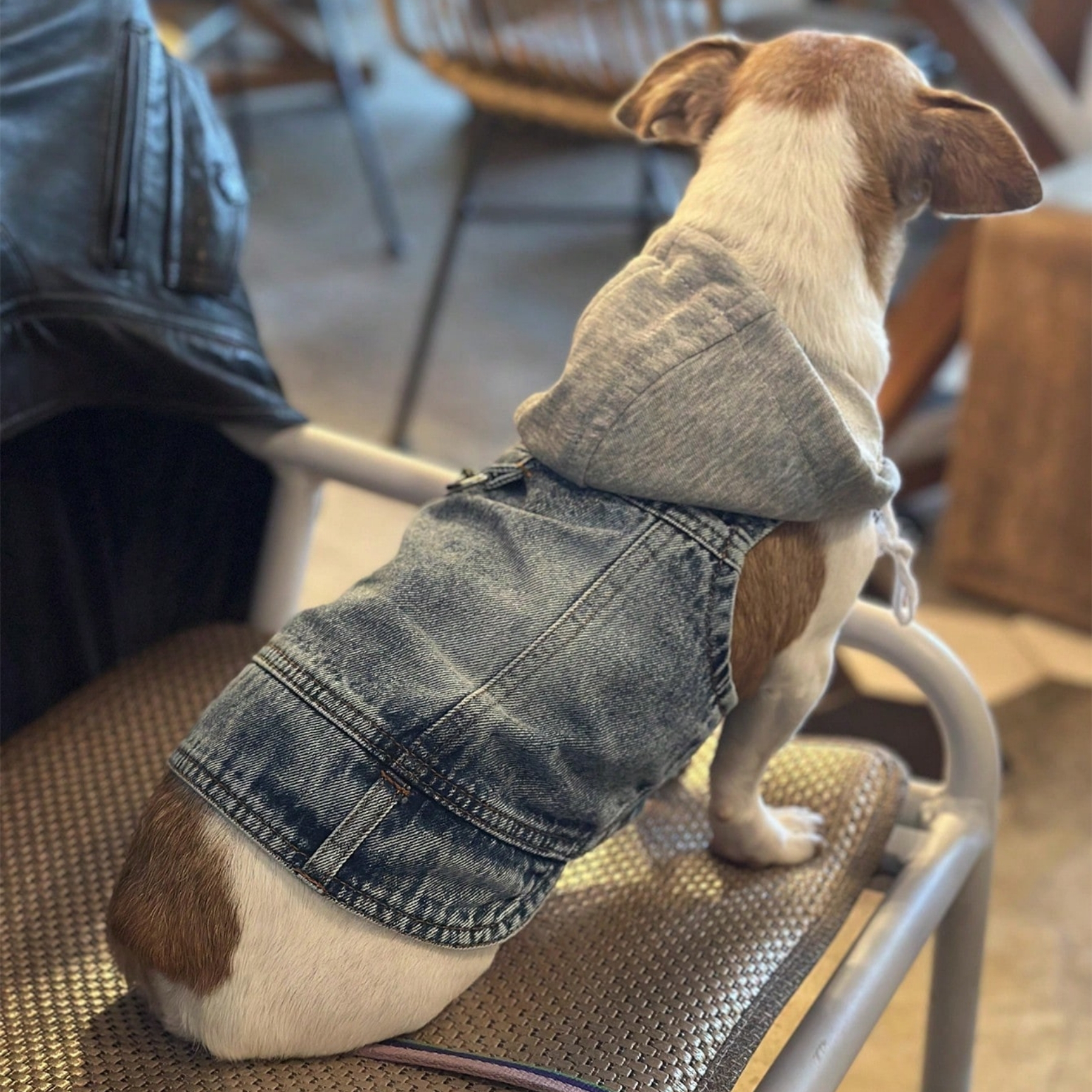 Denim Hooded Dog Harness Vest With Leash Ring