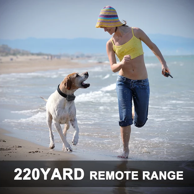 2025 Ziggy Electric Dog Training Collar With Beep, Vibrate and No Harm Shock-Ziggy Dog Training Collar