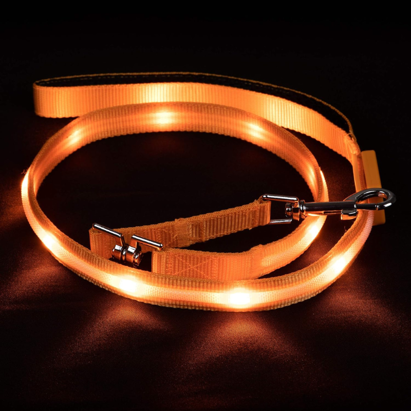 USB Rechargeable LED Pet Leash-Ziggy Dog Training Collar