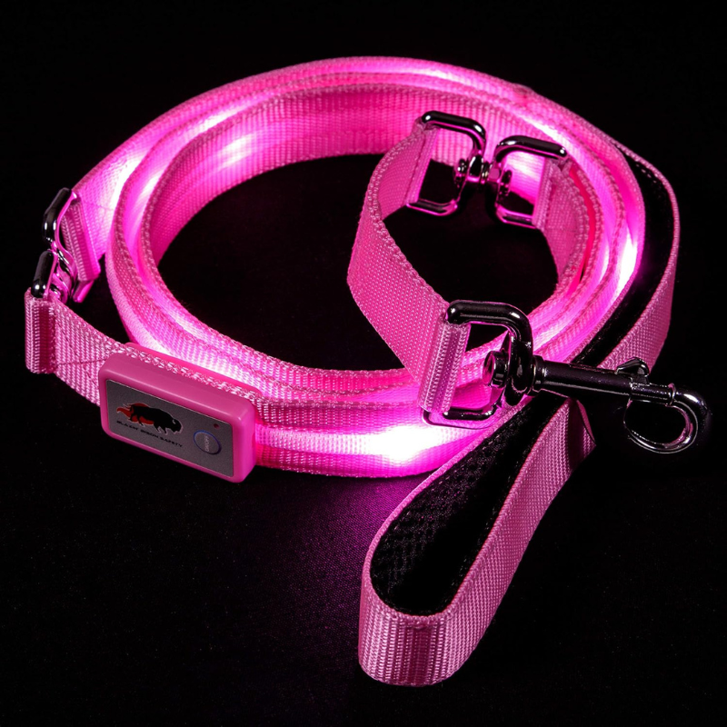 USB Rechargeable LED Pet Leash-Ziggy Dog Training Collar