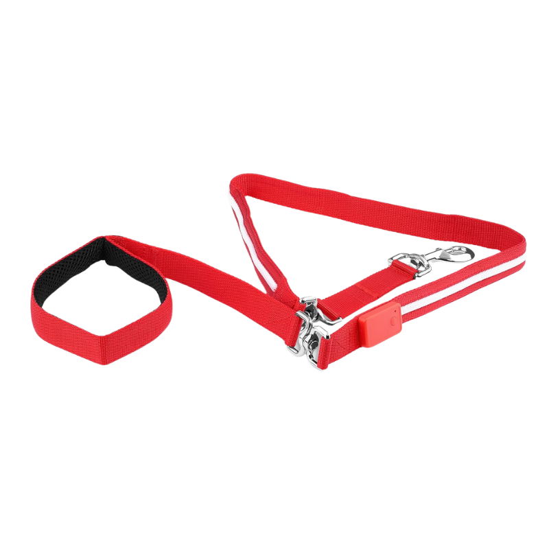 USB Rechargeable LED Pet Leash-Ziggy Dog Training Collar