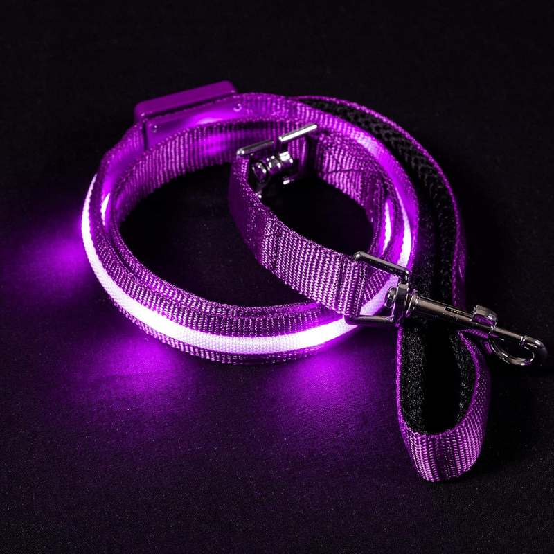 USB Rechargeable LED Pet Leash-Ziggy Dog Training Collar