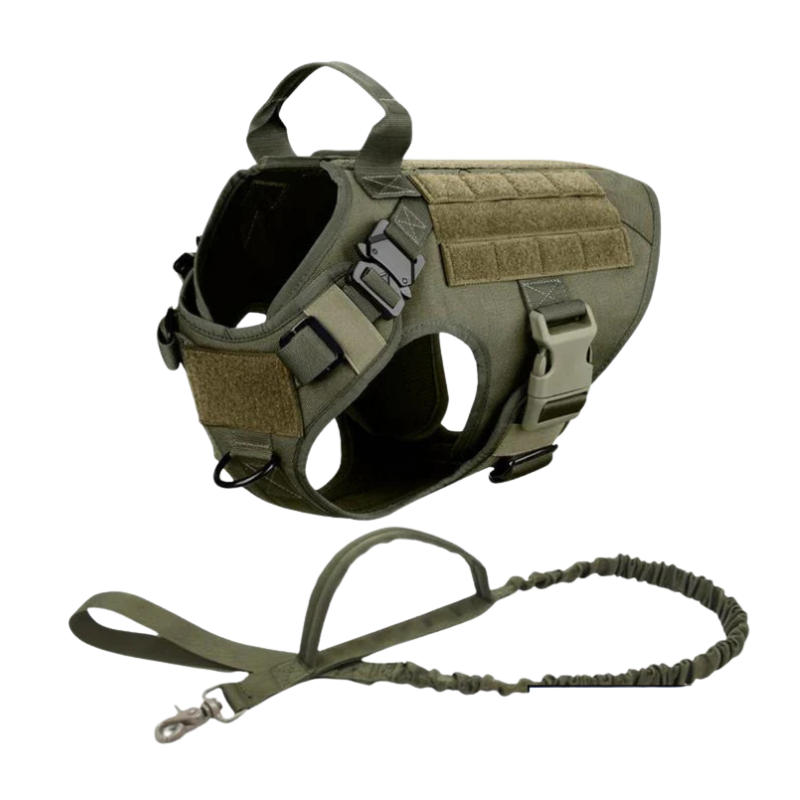 Dog Harness With Front And Back Rings-Ziggy Dog Training Collar