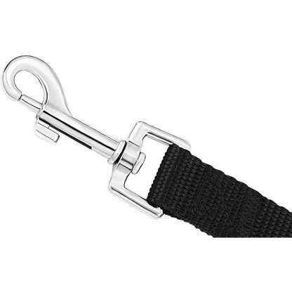 Durable Training Leash For Dogs-Ziggy Dog Training Collar