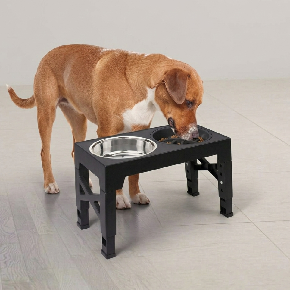 Elevated Dog Bowls With Adjustable Height Stand