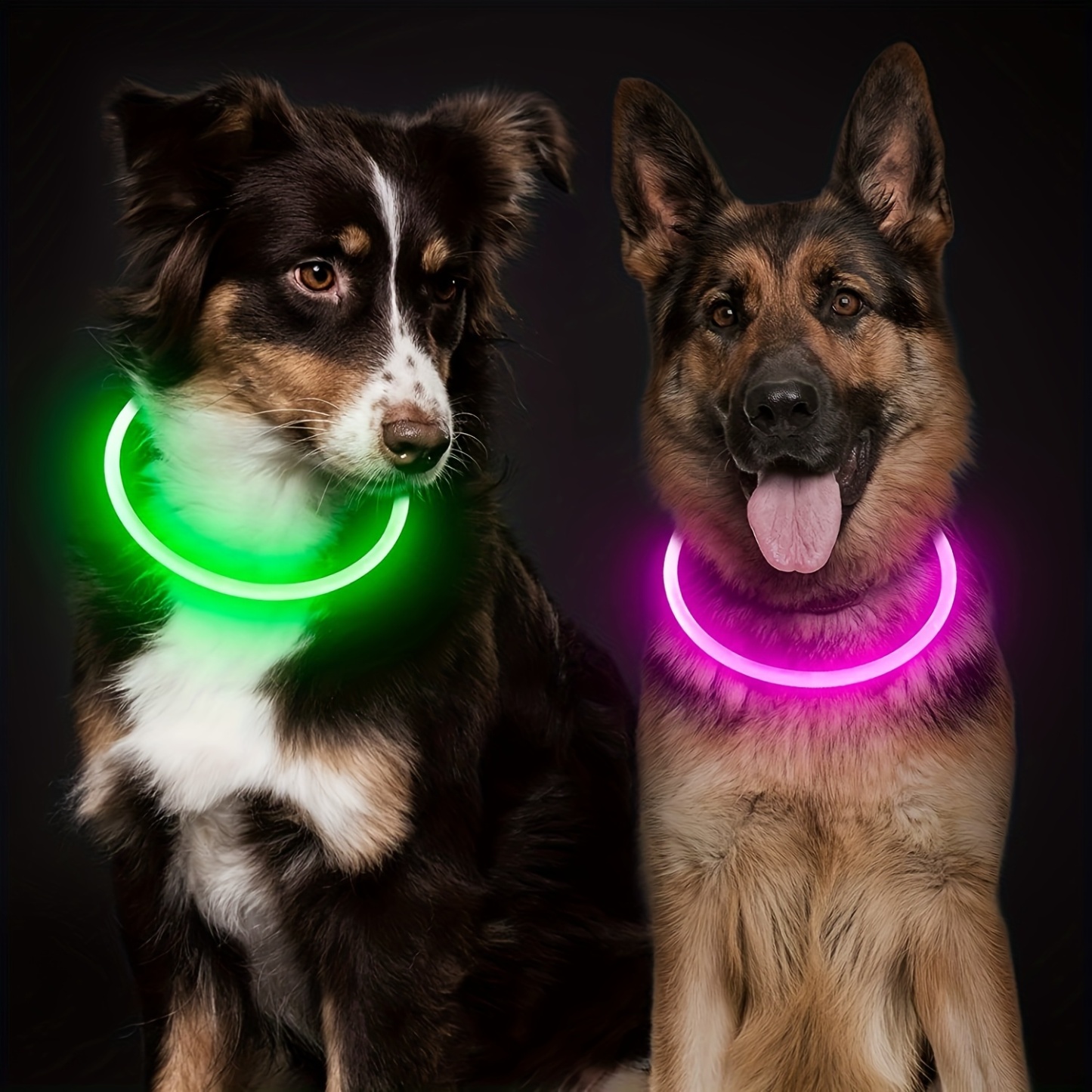 Glow In The Dark Dog Collar With Rechargeable USB Power