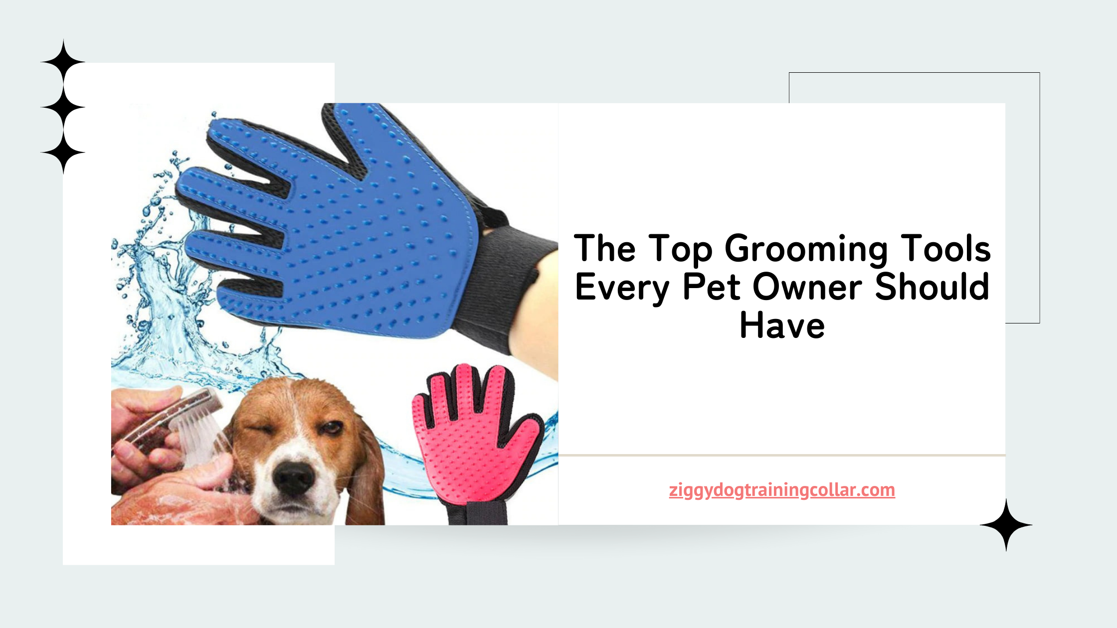 The Top Grooming Tools Every Pet Owner Should Have-Ziggy Dog Training Collar