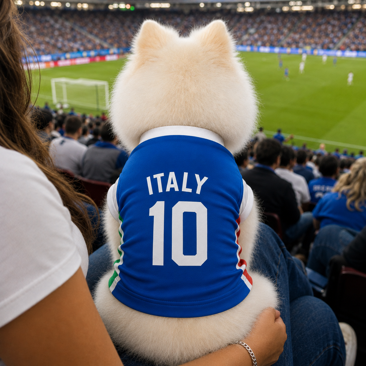 World Cup 2026 Italy Soccer Pet Jersey
