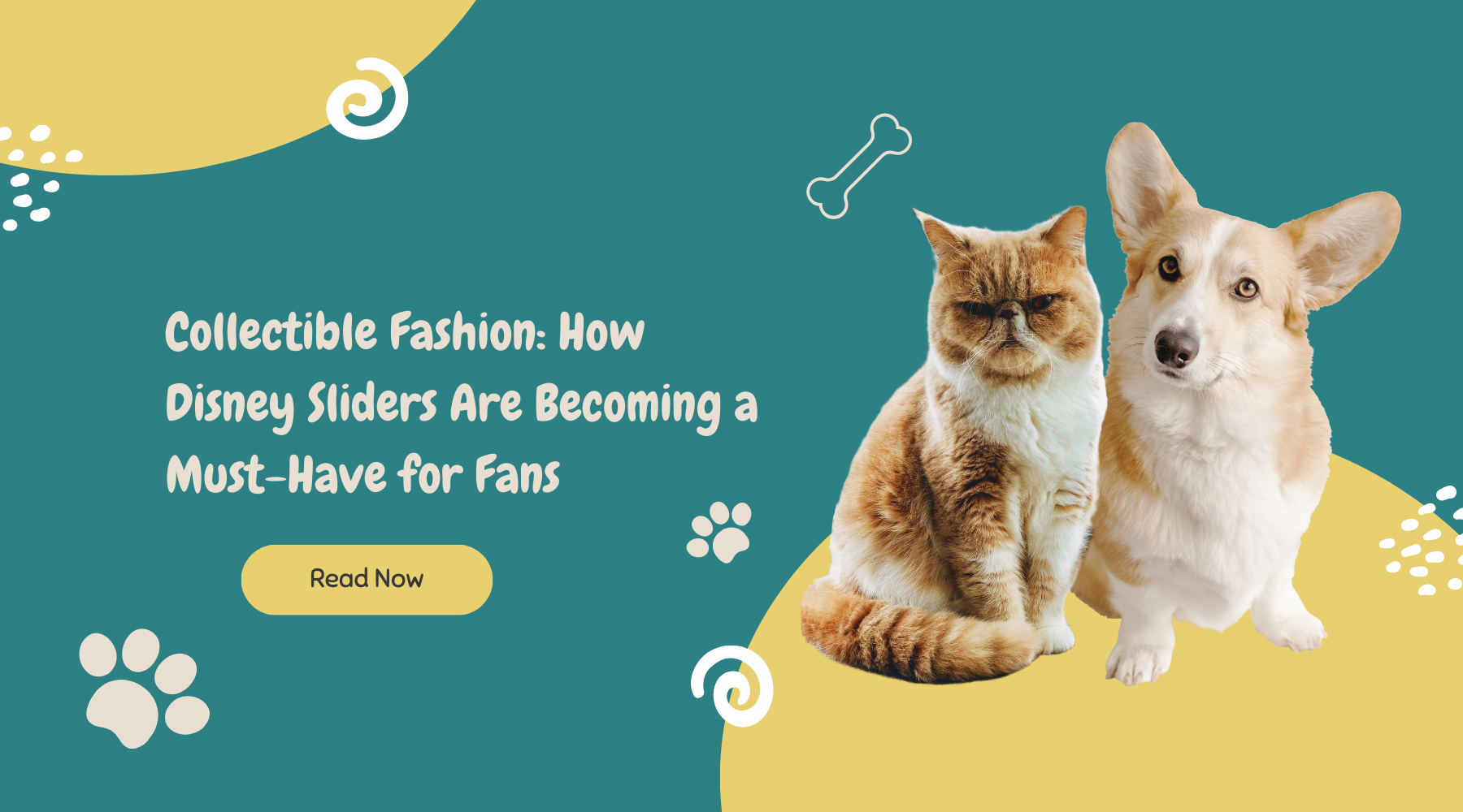 Seasonal Grooming Tips: How to Care for Your Pet’s Coat Throughout the Year-Ziggy Dog Training Collar