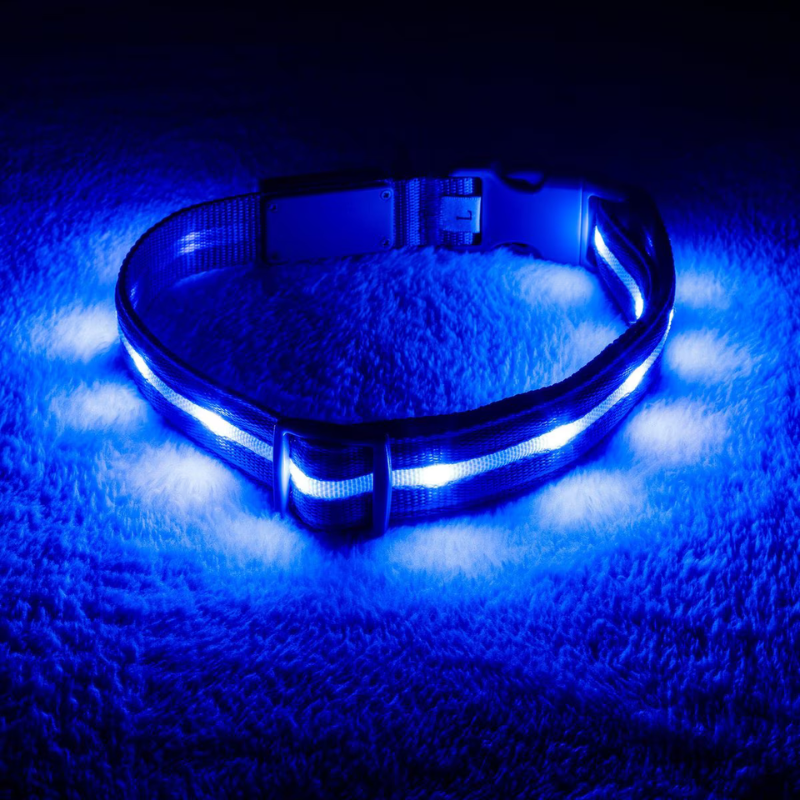 LED Enhanced Dog Leash For Training-Ziggy Dog Training Collar