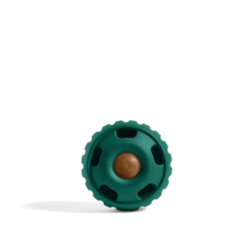 Long Lasting Treat Dispenser Dog Toy-Ziggy Dog Training Collar