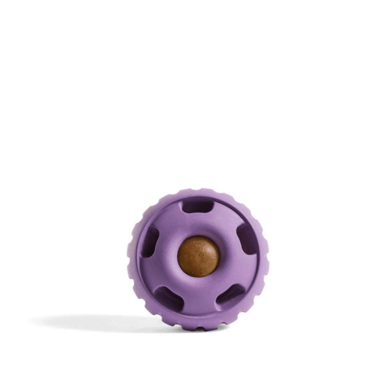 Long Lasting Treat Dispenser Dog Toy-Ziggy Dog Training Collar