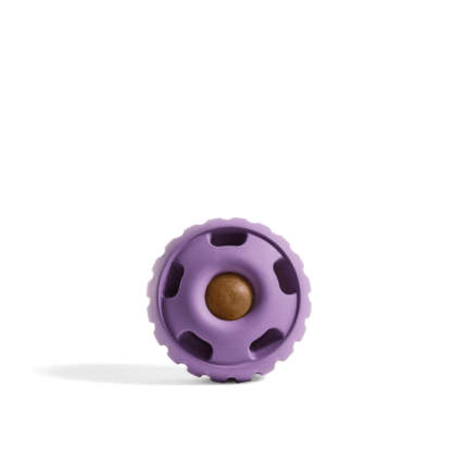 Long Lasting Treat Dispenser Dog Toy-Ziggy Dog Training Collar