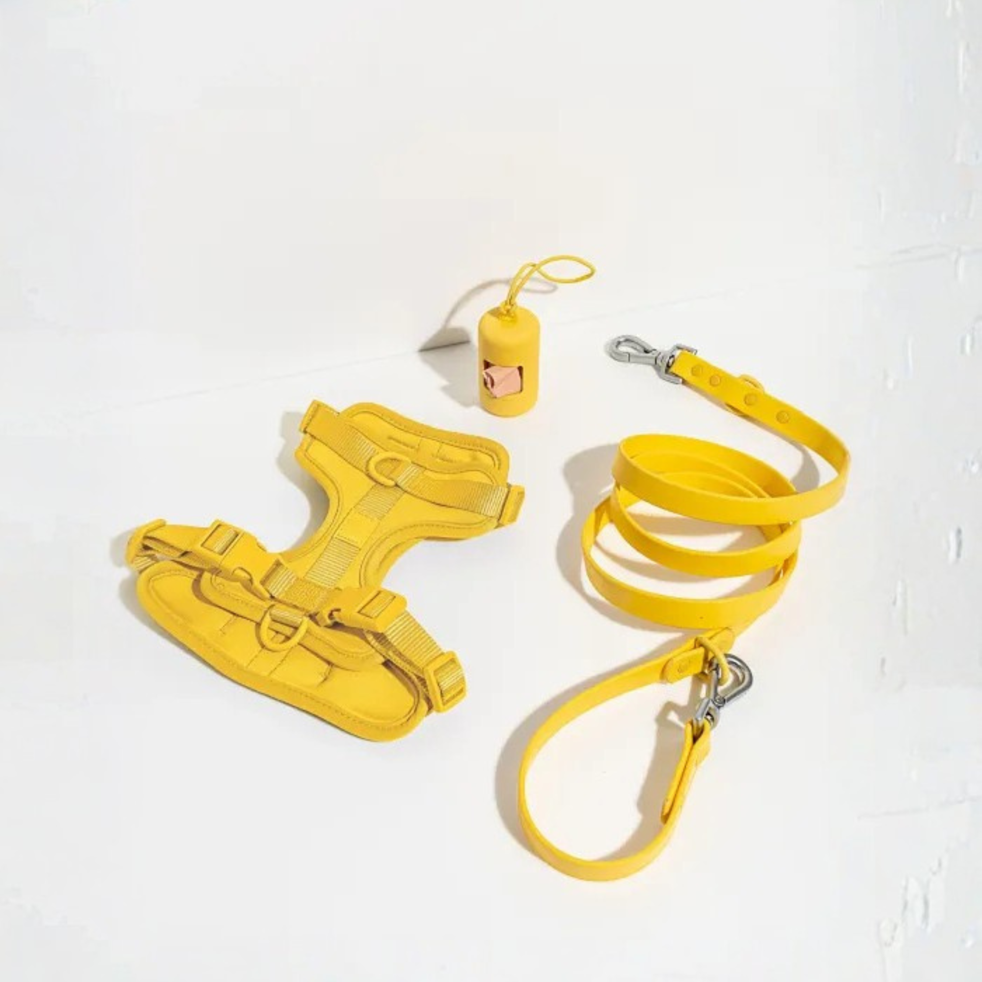 Dog Harness With Waterproof Walking Leash Kit