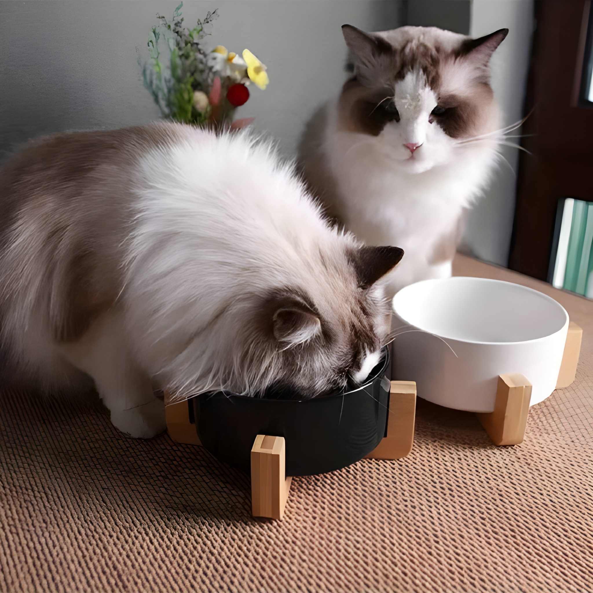 Non Slip Ceramic Pet Bowls Set With Wooden Stand