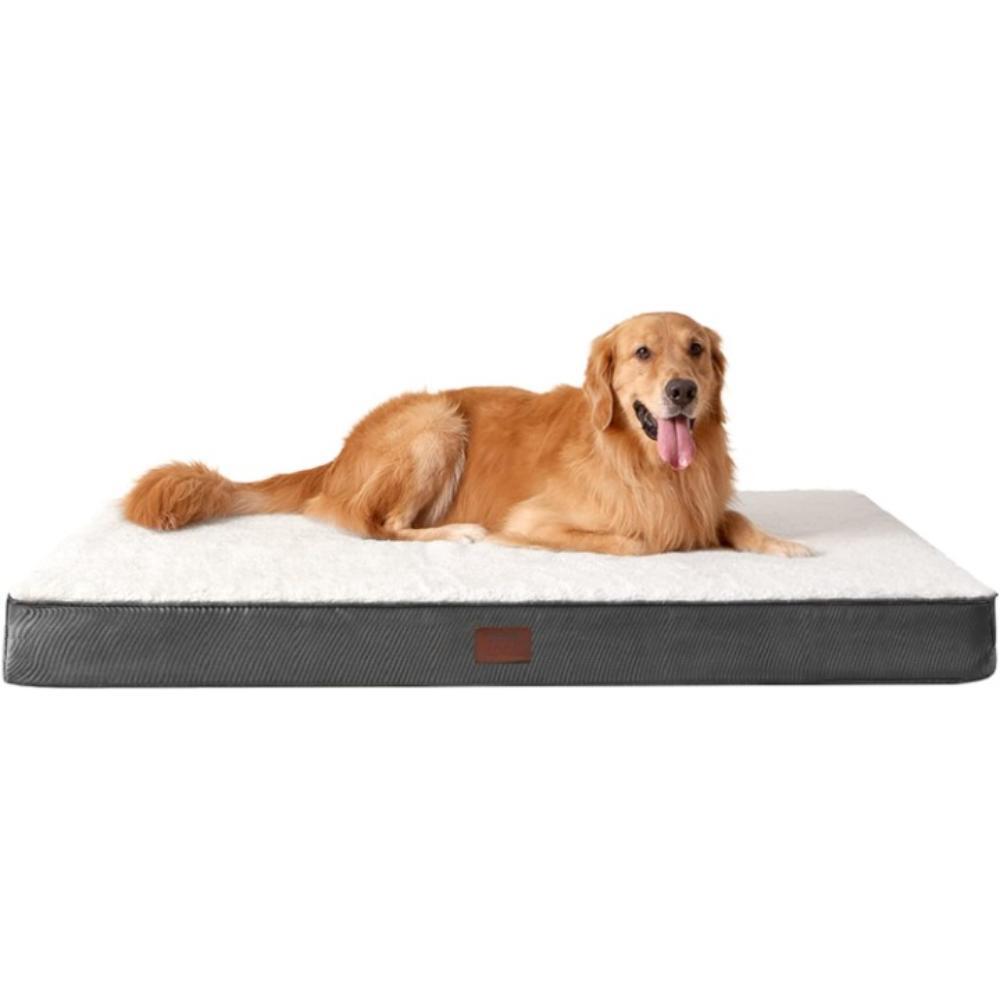 Supportive Plush Rectangular Pet Bed-Ziggy Dog Training Collar