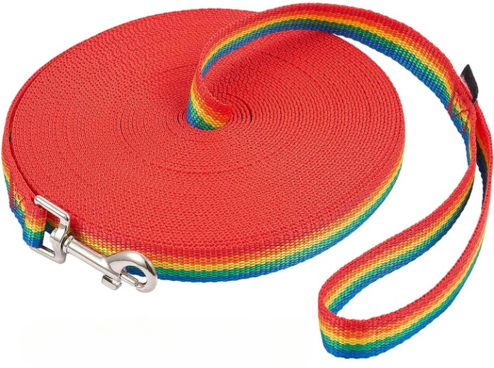 Rainbow Training Leash for Dogs-Ziggy Dog Training Collar