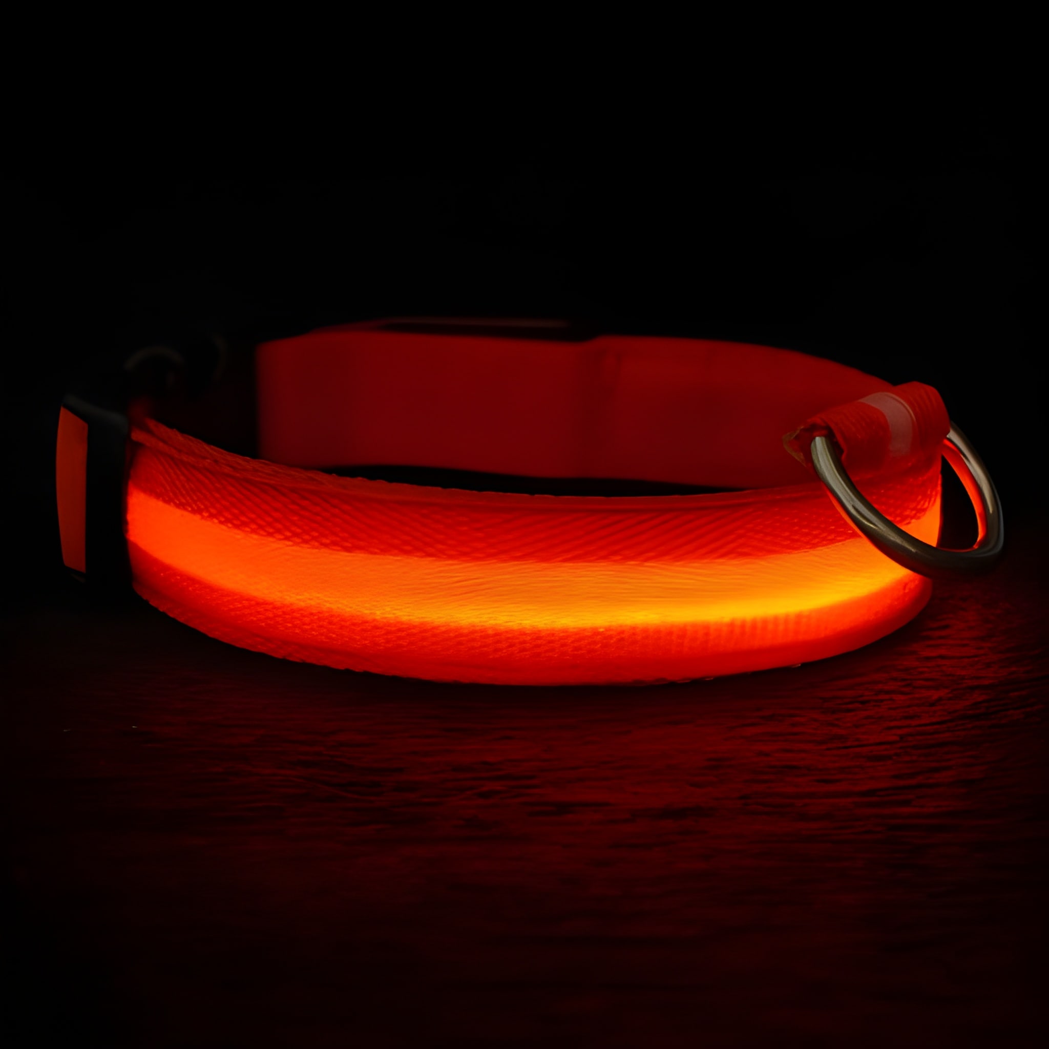 Rechargeable LED Pet Collar Light