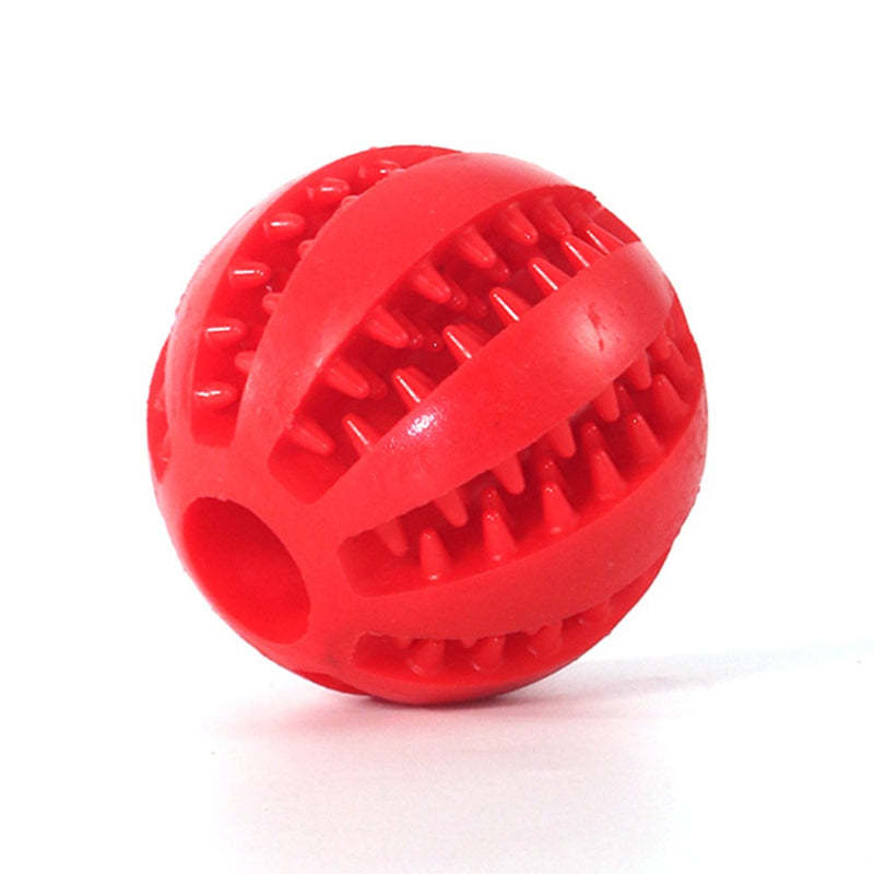 Pet Dog Tooth Cleaning Indestructible Ball-Ziggy Dog Training Collar