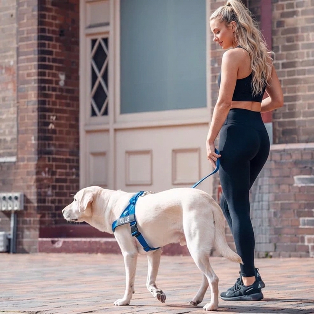 Adjustable Neck & Chafe Resistant Dog Harness