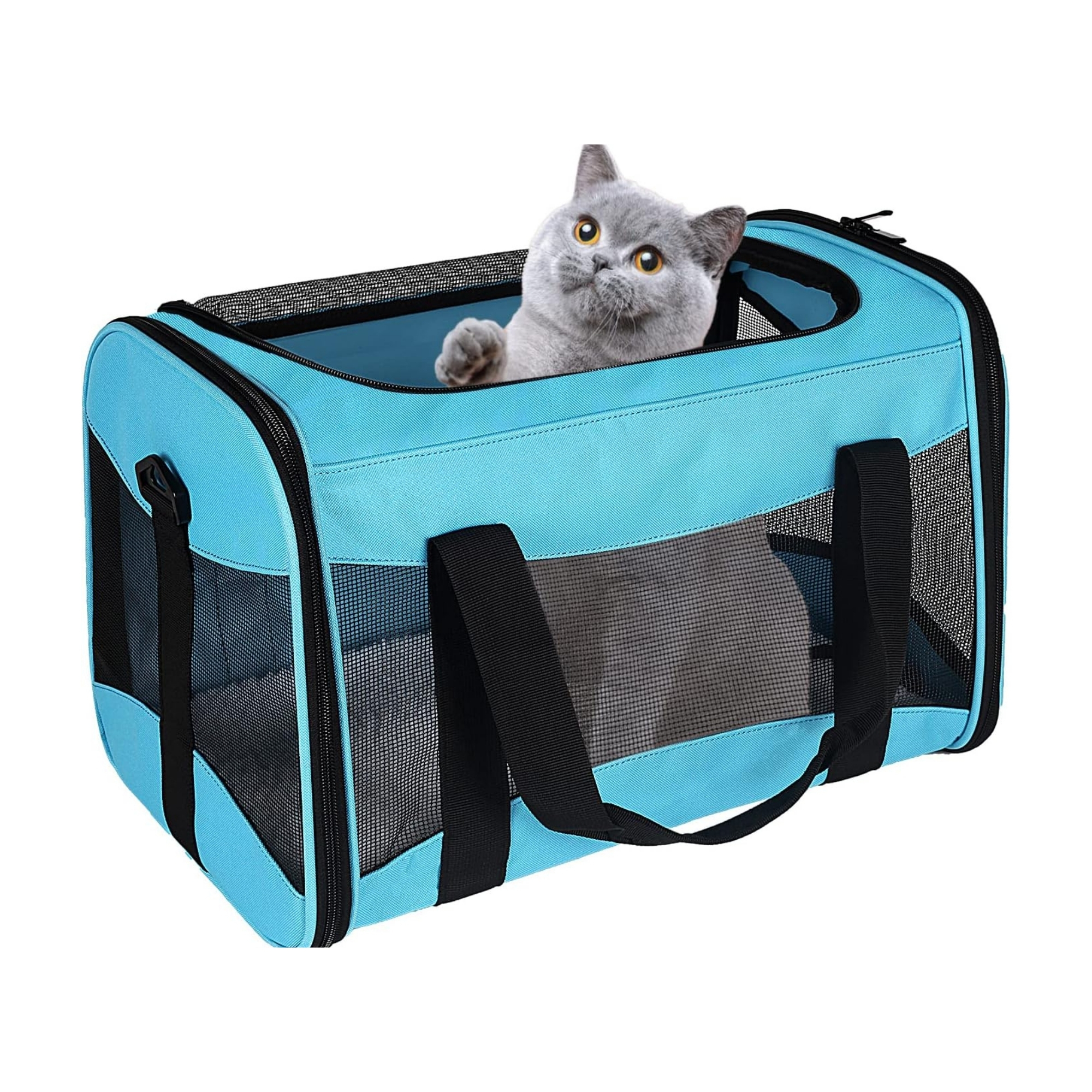 Soft Sided Airline Pet Carrier For Cats Dogs
