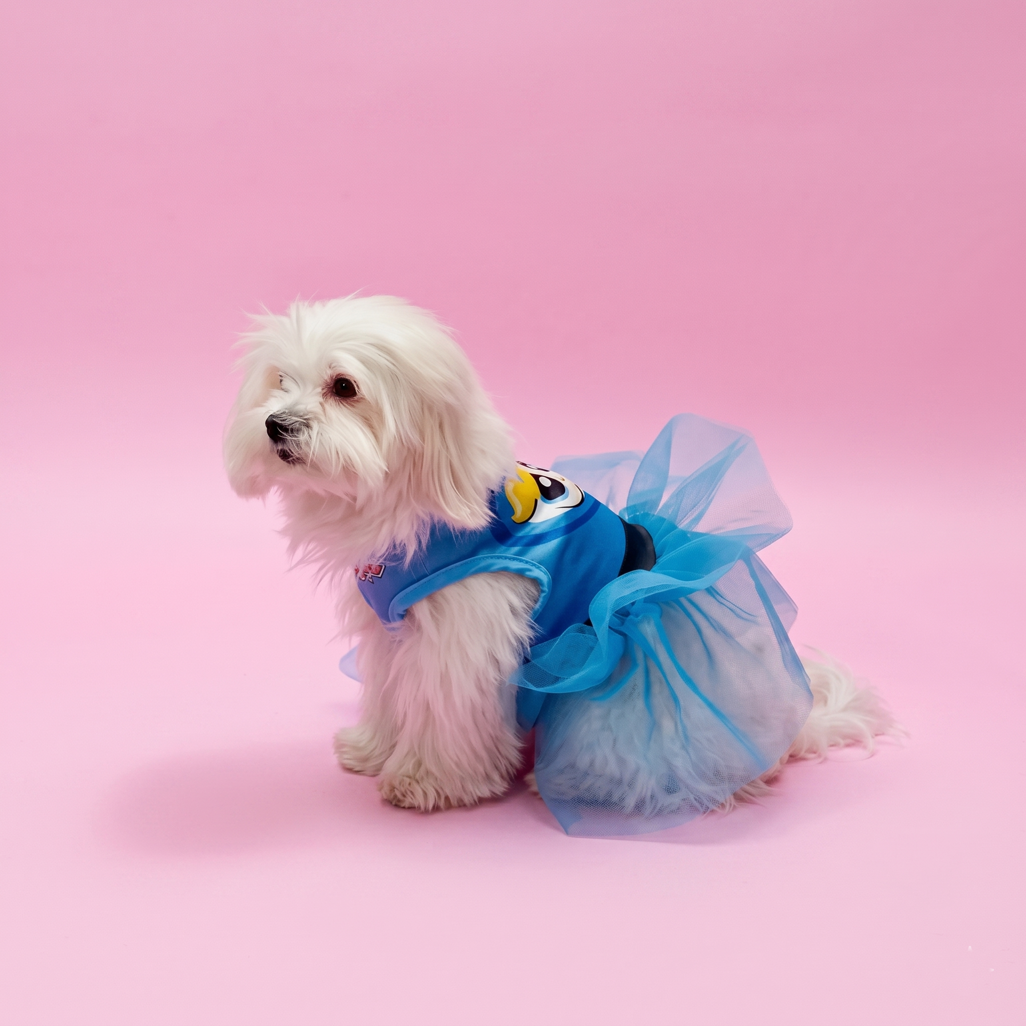 Stylish Cartoon Printed Pet Dress For Dogs And Cats