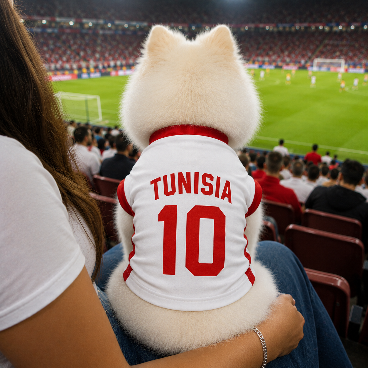 World Cup 2026 Tunisia Soccer Pet Jersey
