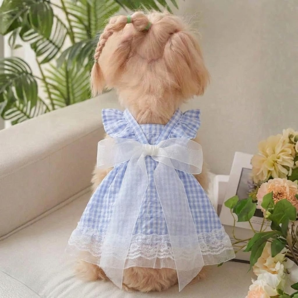 Soft Fabric Bow Dress Outfit With Bow Detail