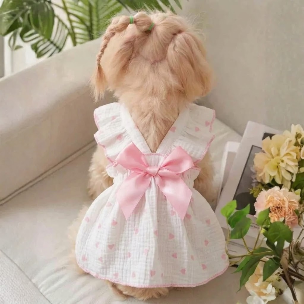 Soft Fabric Bow Dress Outfit With Bow Detail