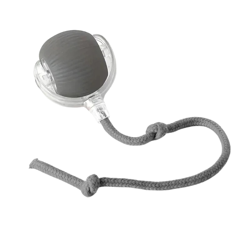 Interactive Motion Ball For Pets With USB Charging-Ziggy Dog Training Collar