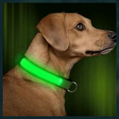 Ziggy LED Dog Collar - USB Rechargeable - Glow In Dark-Ziggy Dog Training Collar