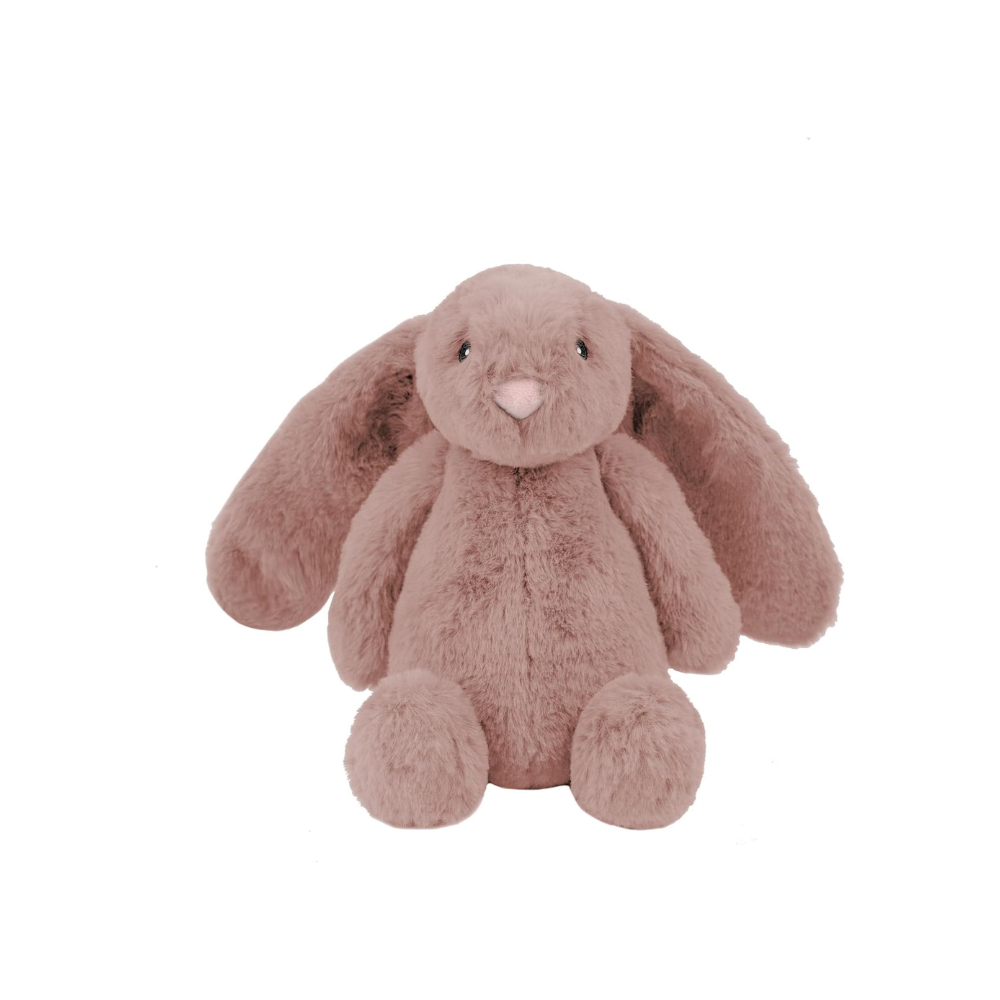 Crinkle Dog Favorite Bunny Toy-Ziggy Dog Training Collar