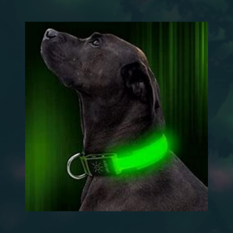 Ziggy LED Dog Collar - USB Rechargeable - Glow In Dark-Ziggy Dog Training Collar