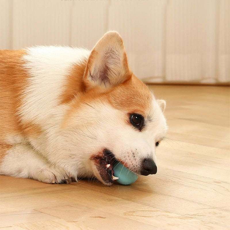 Electric Rolling Ball Pet Toys-Ziggy Dog Training Collar