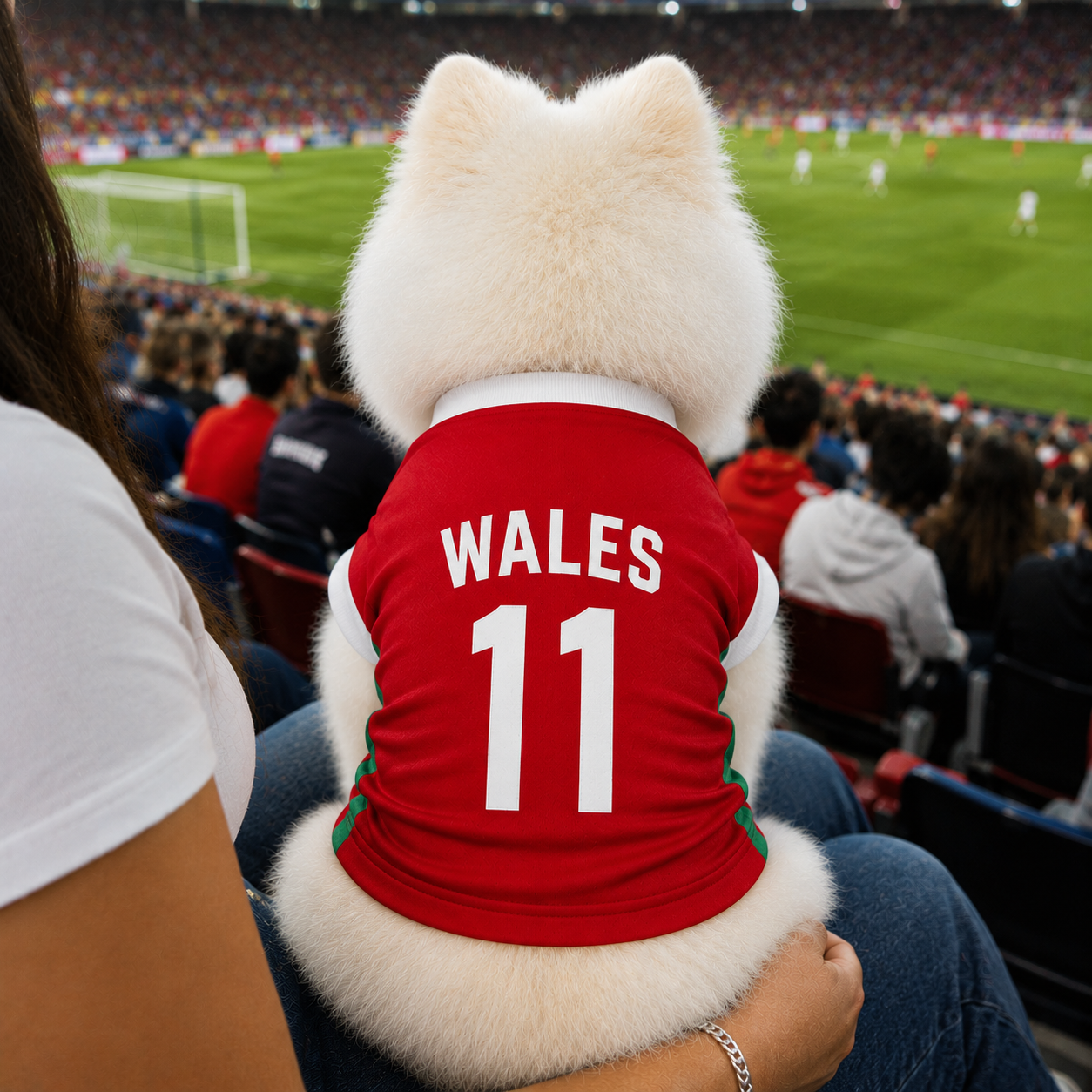 World Cup 2026 Wales Soccer Pet Jersey